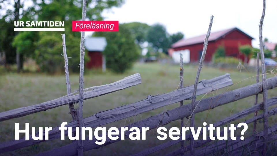 Programbild