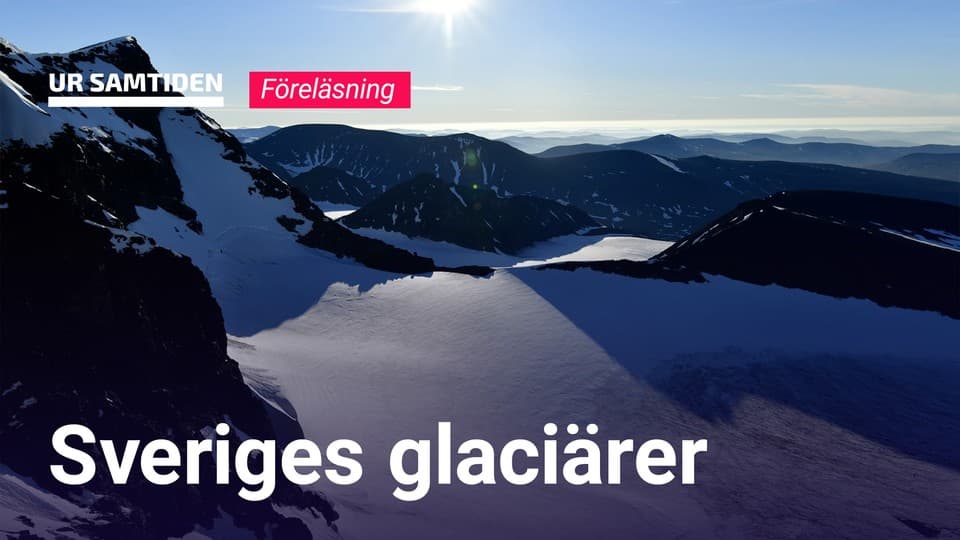 Programbild