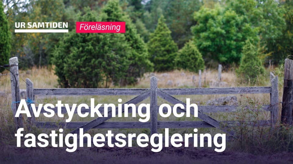 Programbild