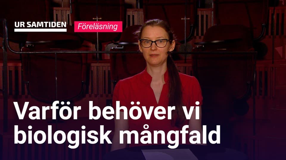 Programbild