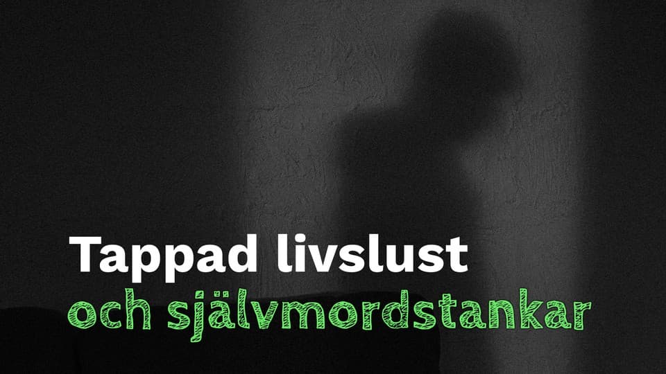 Programbild