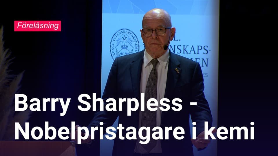Programbild