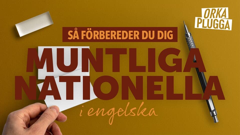 Programbild