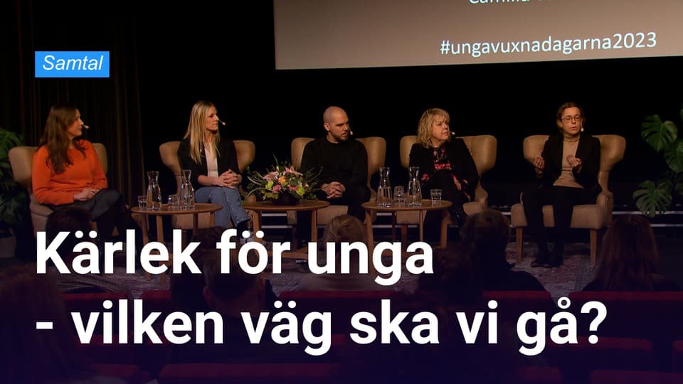 Programbild