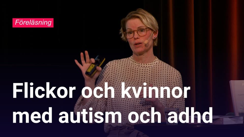 Programbild