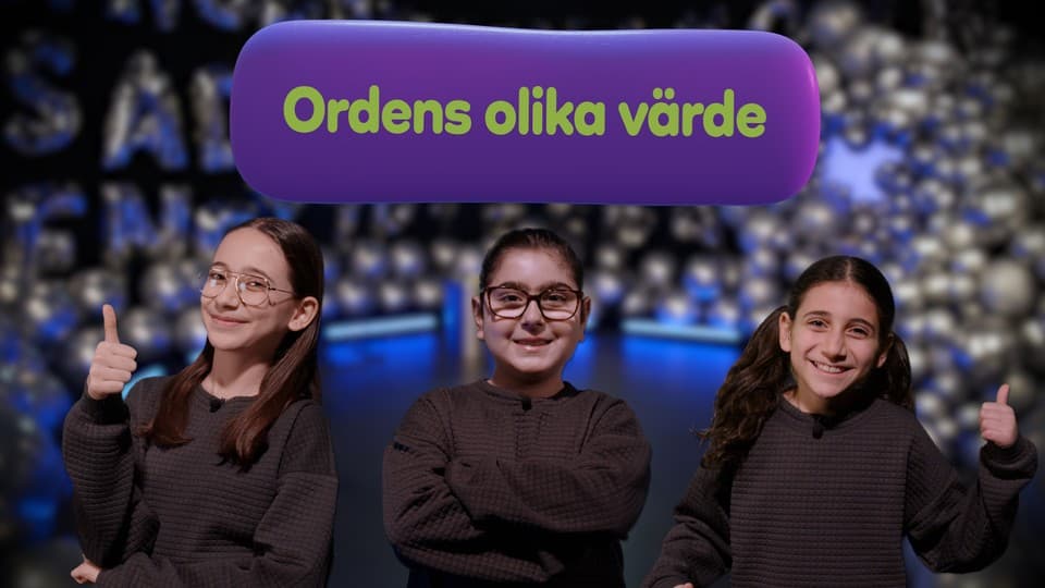 Programbild