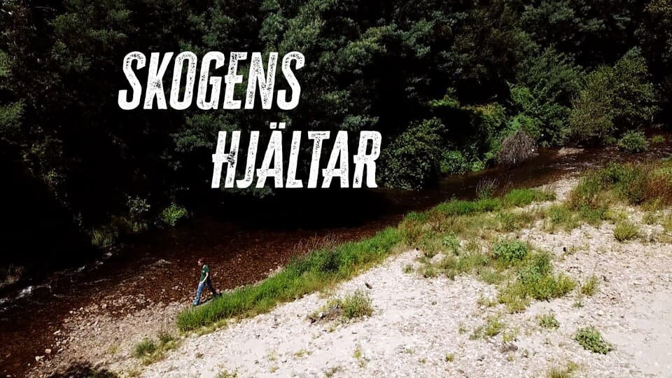 Programbild