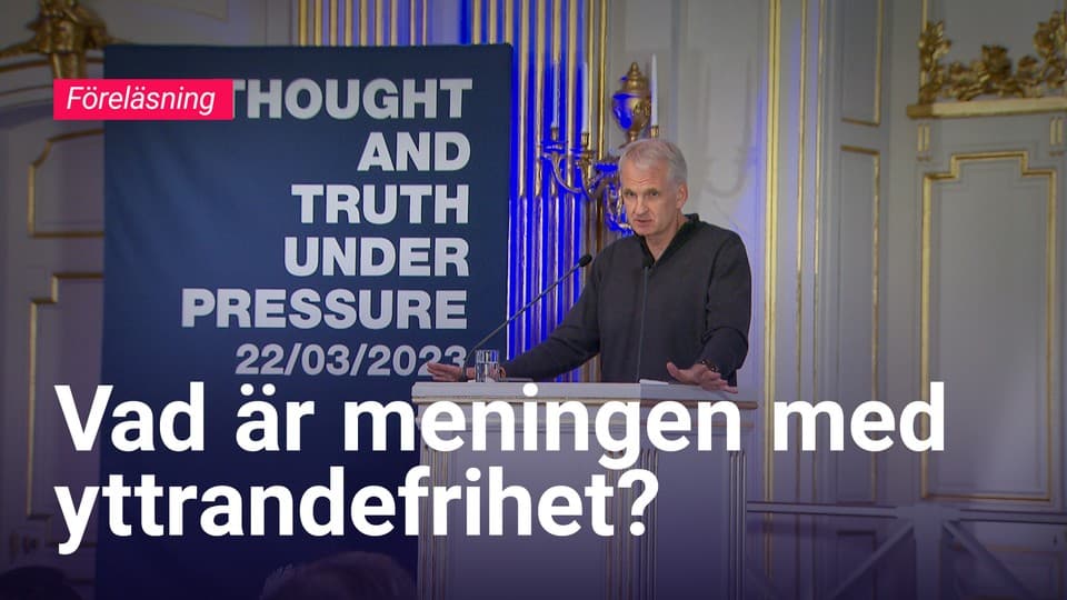 Programbild