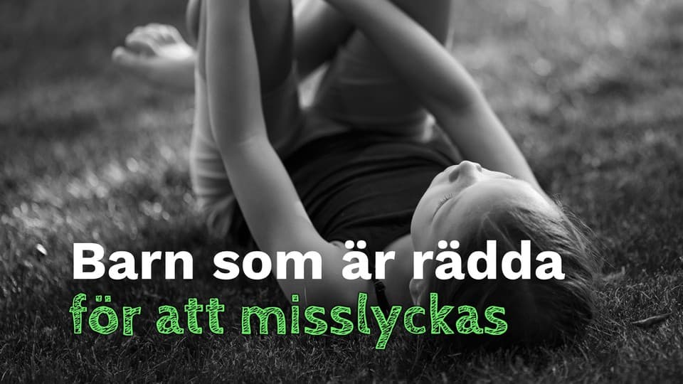 Programbild