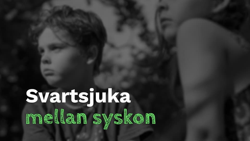Programbild