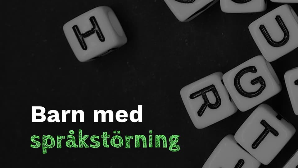 Programbild