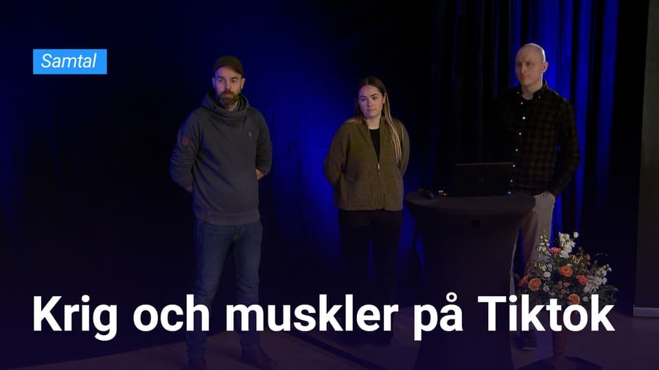 Programbild