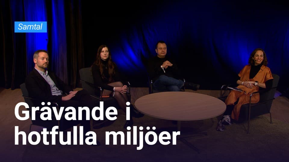 Programbild
