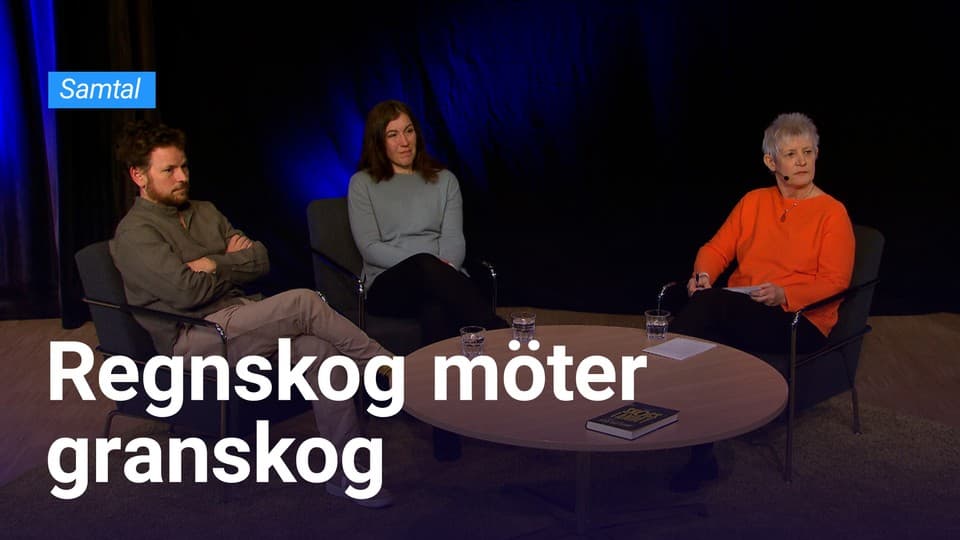 Programbild