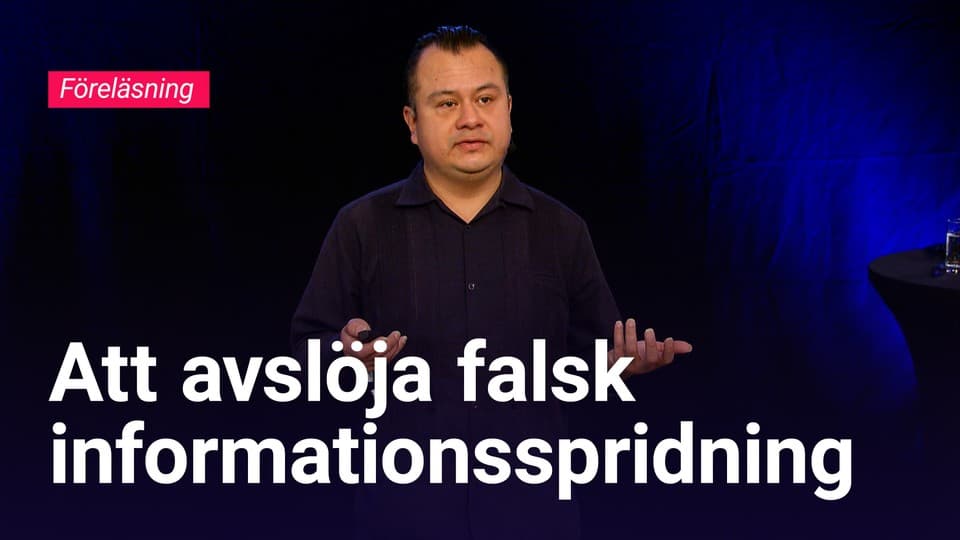 Programbild