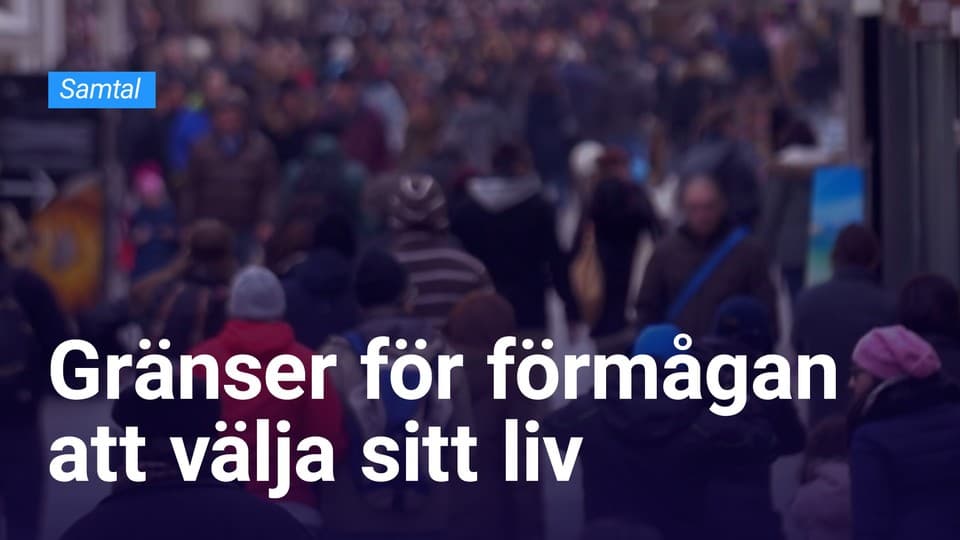 Programbild