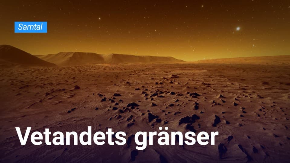 Programbild