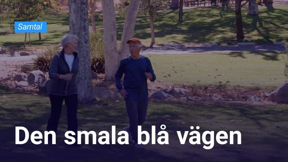 Programbild