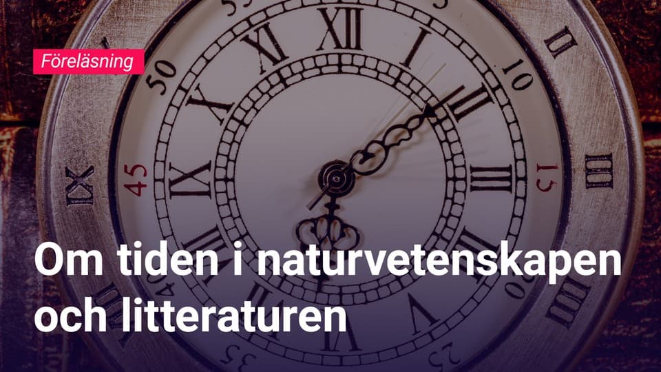 Programbild