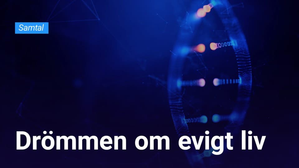 Programbild