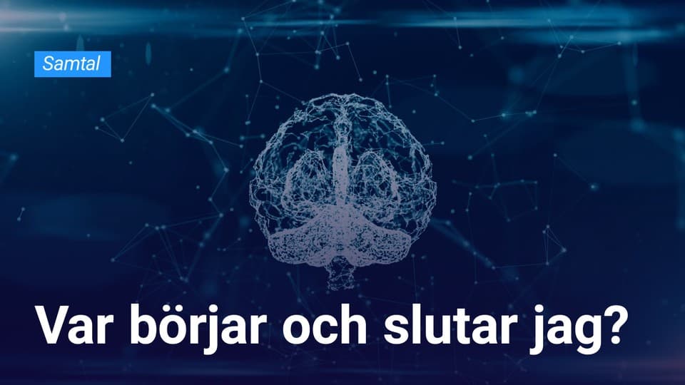 Programbild