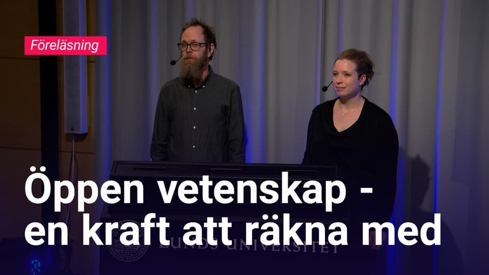 Programbild