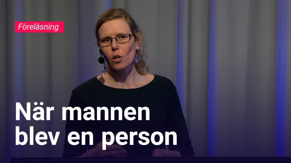 Programbild
