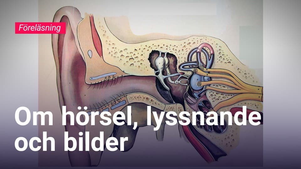 Programbild