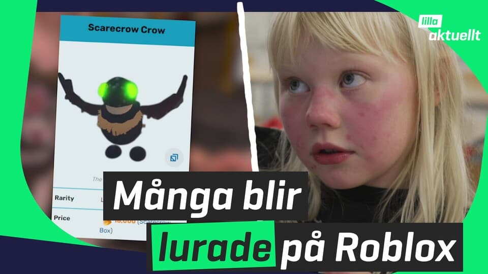 Programbild