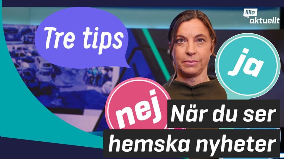Programbild