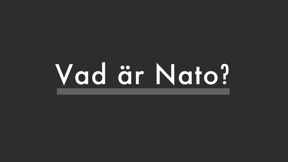 Programbild