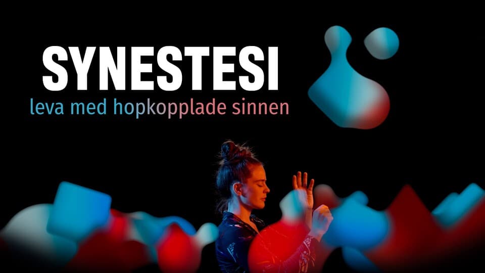 Programbild