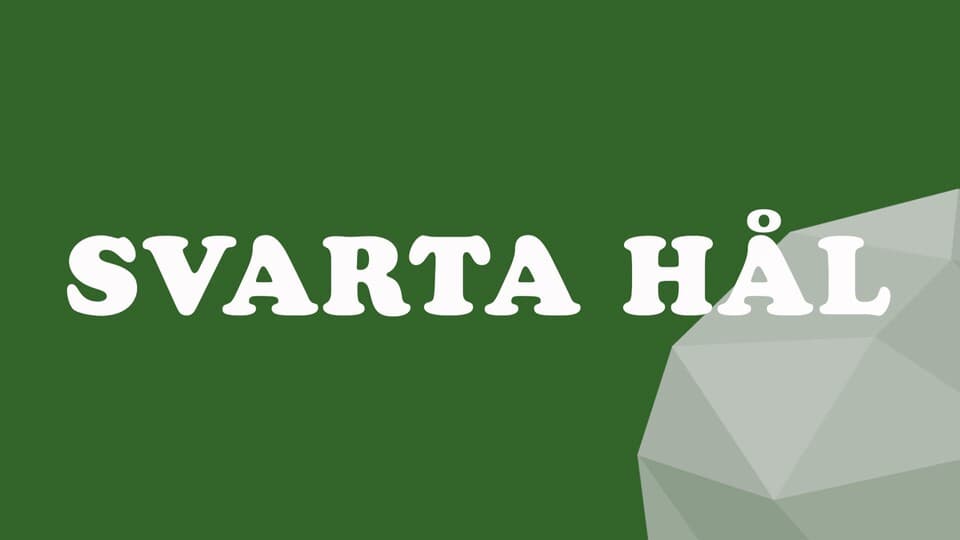 Programbild