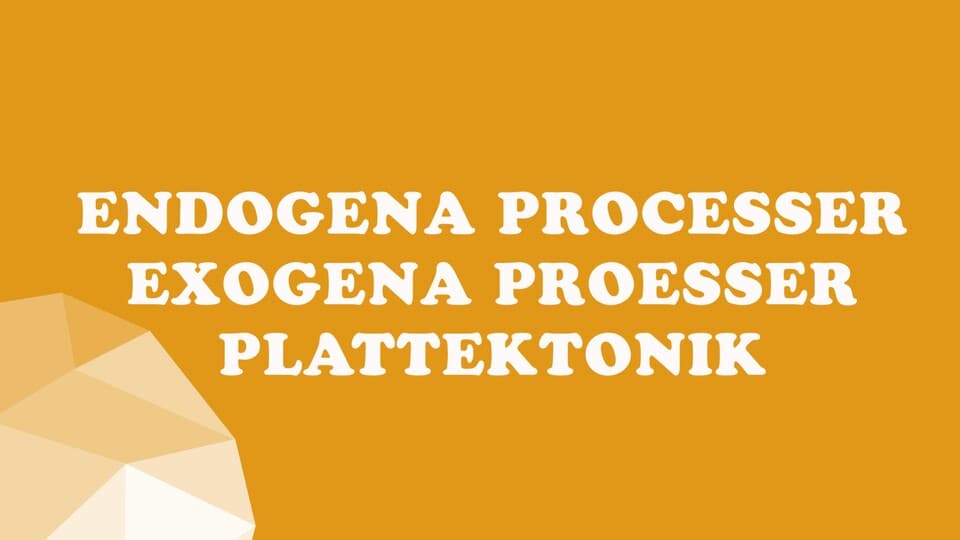 Programbild