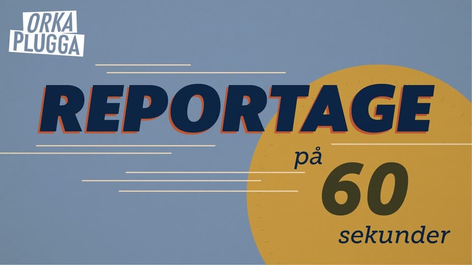 Programbild