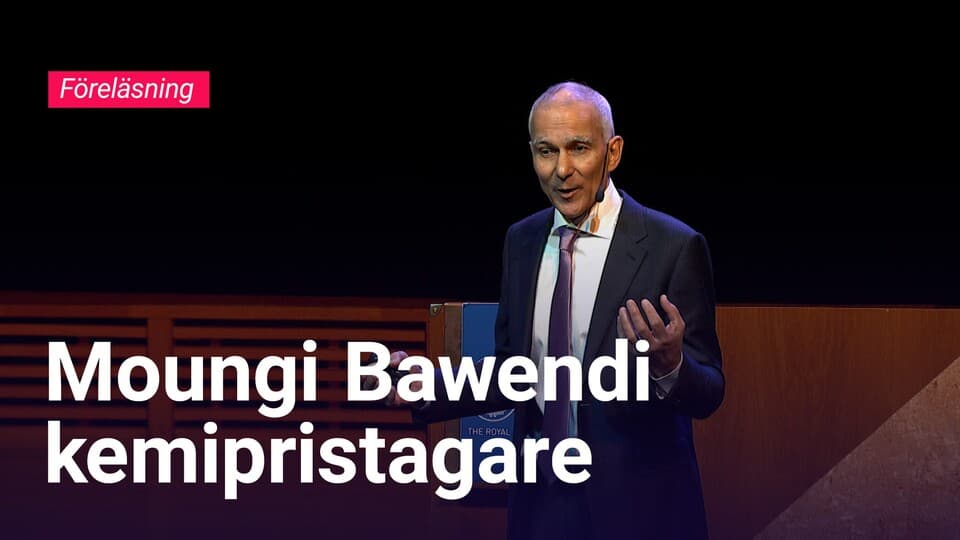 Programbild