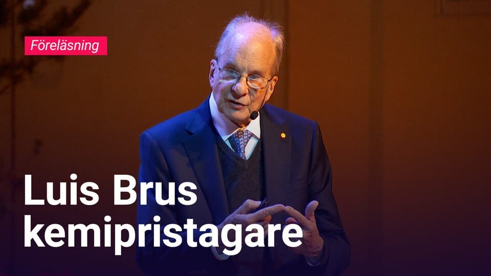 Programbild