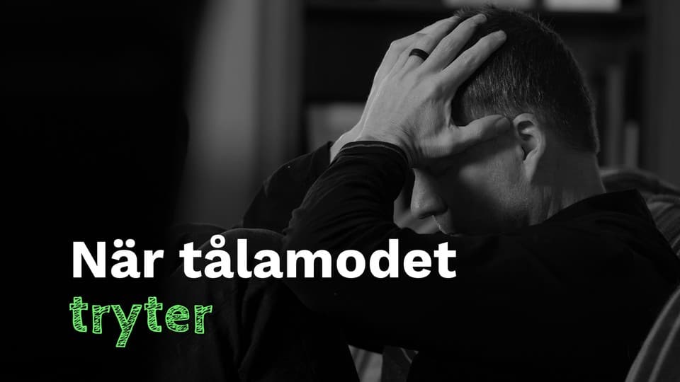 Programbild