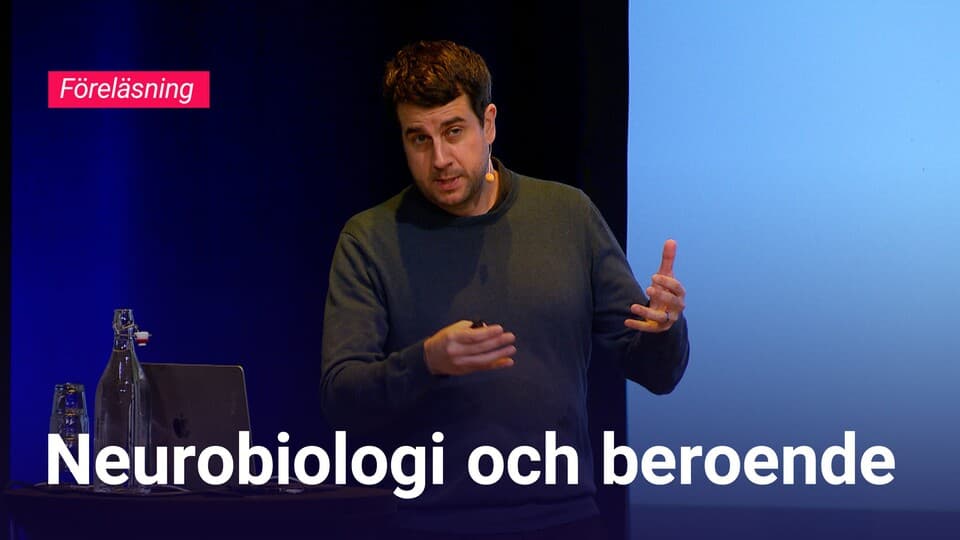 Programbild