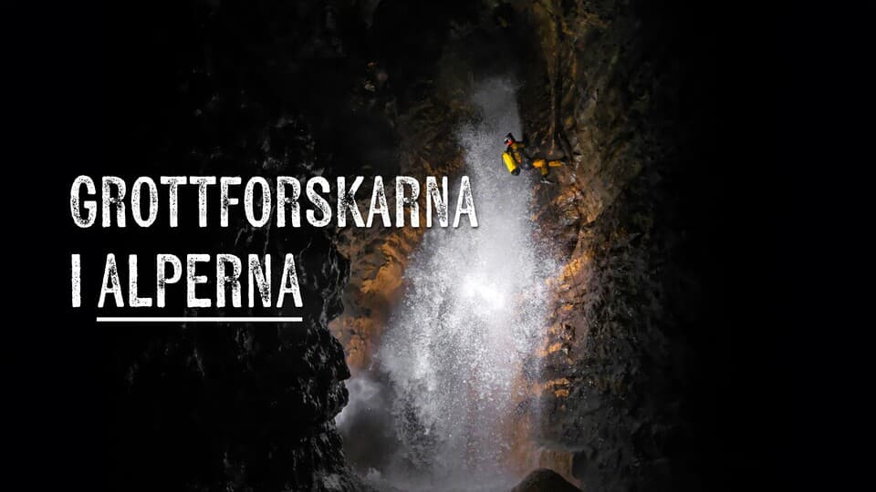 Programbild