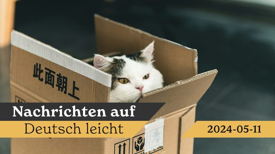Programbild
