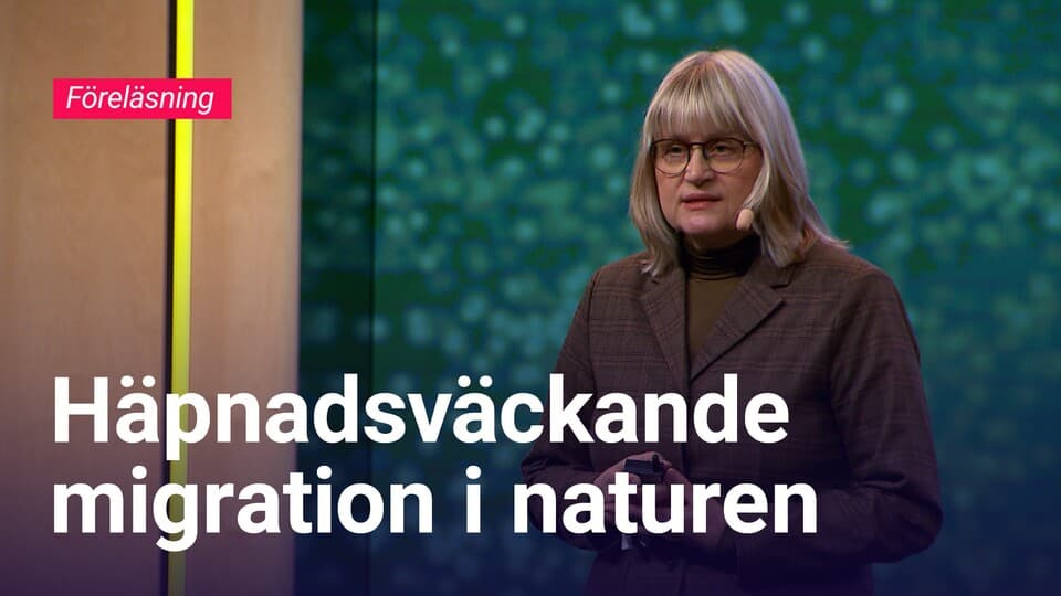 Programbild