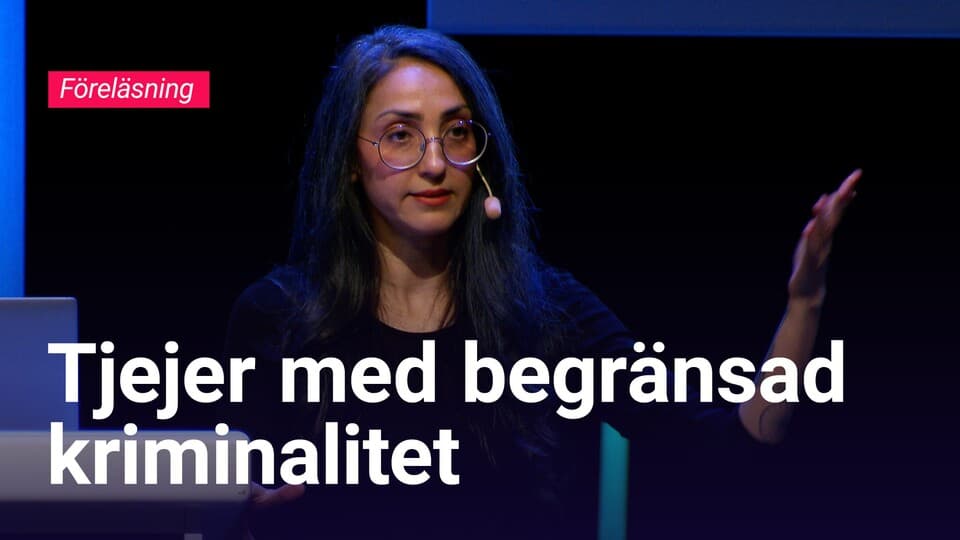 Programbild