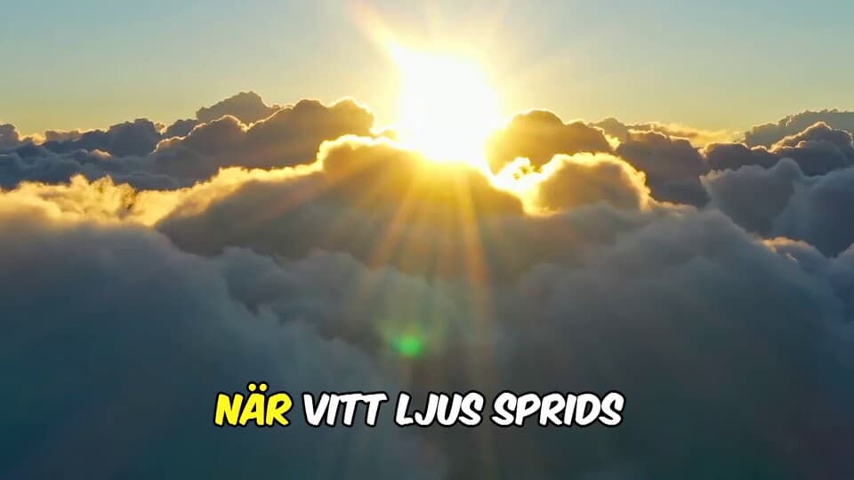 Programbild