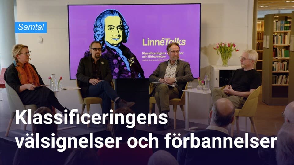 Programbild