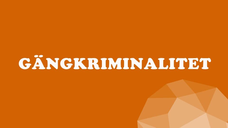 Programbild