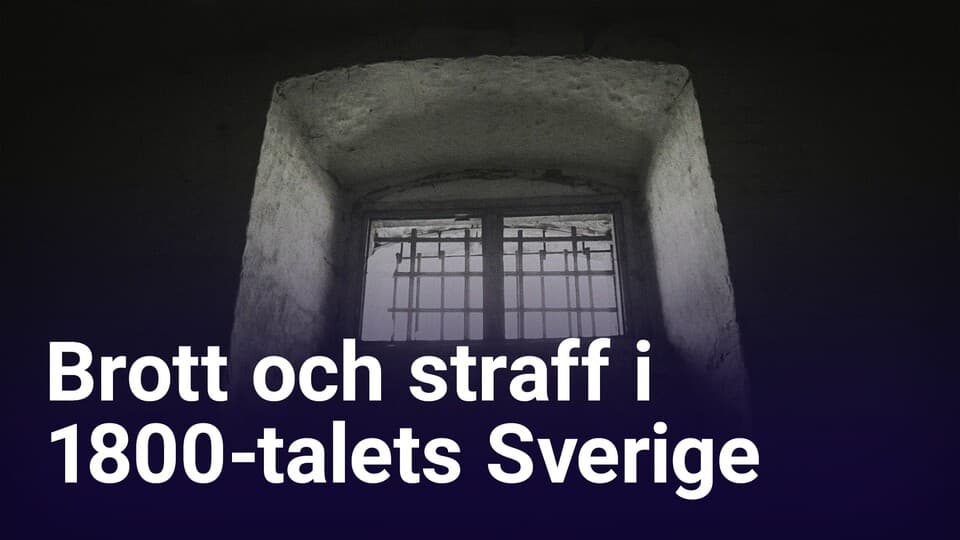 Programbild