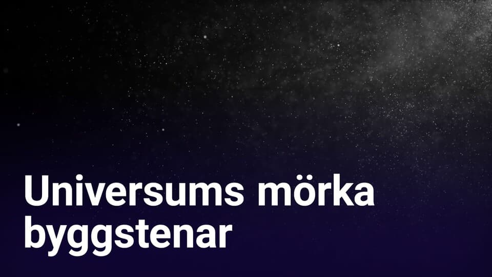 Programbild