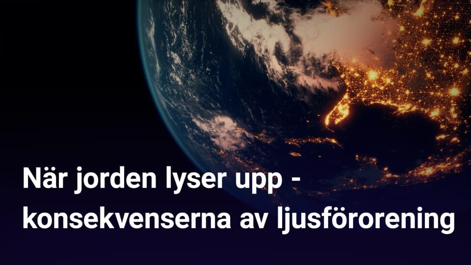 Programbild