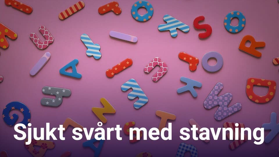 Programbild
